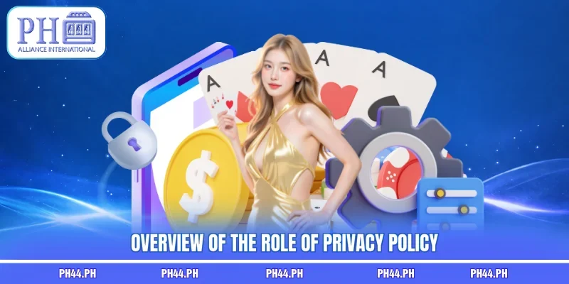 Overview of the role of privacy policy