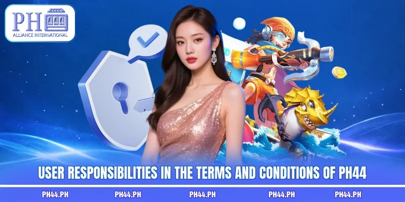 User responsibilities in the terms and conditions of PH44